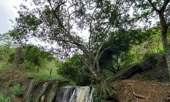 Imagem 2: Belíssimo Sítio em Mendes/RJ