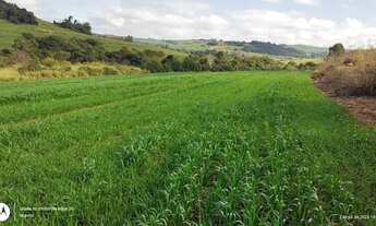 Imagem 5: Sitio de 5 alqueiro planta 4 regiao de Asai-pr