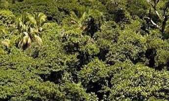 Imagem: Aluguel Casa por Temporada - Porto de Pedras