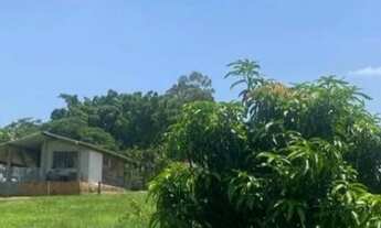 Imagem: VENDO EXCELENTE PROPRIEDADE RURAL A VENDA