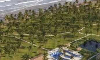 Imagem 4: Lote Mares de Malui 75317