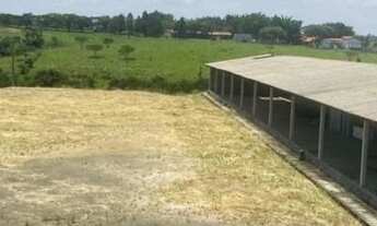 Imagem 6: VENDO EXCELENTE PROPRIEDADE RURAL A VENDA EM IPATINGA!