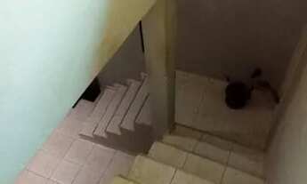 Imagem 7: Casa com 3 dormitórios á venda em Guarulhos/SP, Recreio São Jorge 125m²