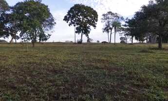 Imagem: Terreno Área Rural com 11.9lts 7.199m2