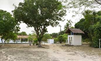 Imagem 6: Sítio com 2 quartos, igarapé