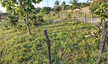 Imagem 4: Terreno próximo à lagoa do banana