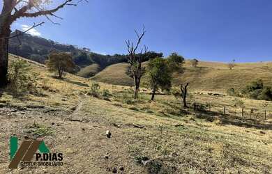 Imagem 6: Excelente Oportunidade Terreno/Gleba em Toledo, Sul de Minas