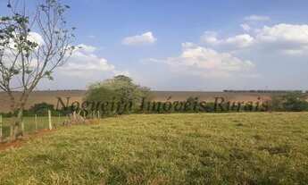 Imagem 4: Fazenda com 41 alqueires (Nogueira Imóveis Rurais