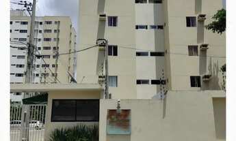 Imagem 3: Alugo Apartamento Serraria