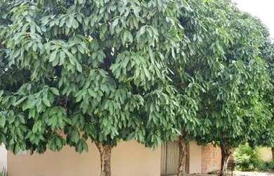 Imagem 2: Casa a venda no Edson Queiroz