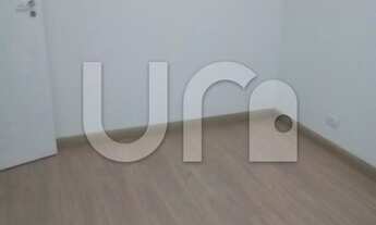 Imagem 3: APARTAMENTO PARA ALUGAR, 1 DORMITORIO, AV. LACERDA FRANCO