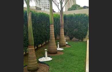 Imagem 3: Apartamento para venda possui 56 metros quadrados com 2 quartos em Vila Bruna - São Paulo