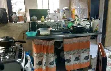 Imagem 6: Vende-se casa na vila esperança em Cubatão