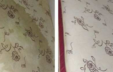 Imagem 4: Higienização de estofados em geral