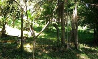 Imagem 2: Sítio, Paiol do Meio, São Lourenço da Serra - R$ 2.200.000,00, 22.250m² - Codigo: 2883