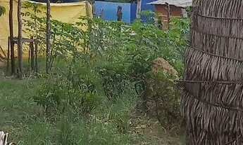 Imagem 3: TERRENO EM PAÇO DO LUMIAR