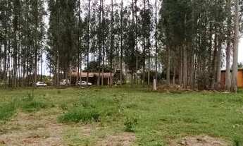 Imagem 3: Chácara de 6 hectares em Jaraguari, MS: Um Refúgio Tranquilo no Campo