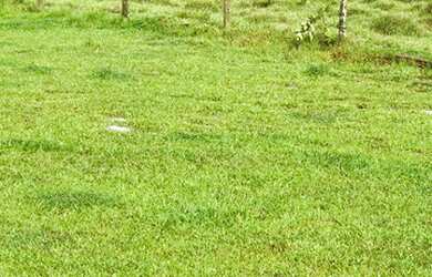 Imagem 7: VC - Vendo Terreno com