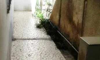 Imagem 6: Casa com 1 dormitório para alugar, 30 m² por R$ 1.500,01/mês - Vila Gilda - Santo André/SP