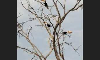Imagem 2: Lote em Contagem - 2 lotes Várzea das Flores/Tupã