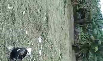 Imagem 2: Terreno top Terreno / lote com venda por R$9.500