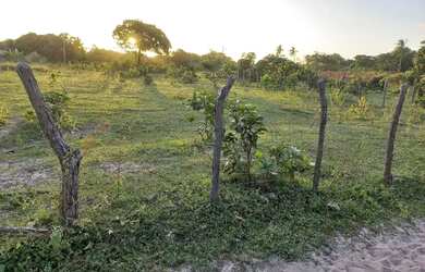Imagem 6: Terreno próximo à lagoa do banana