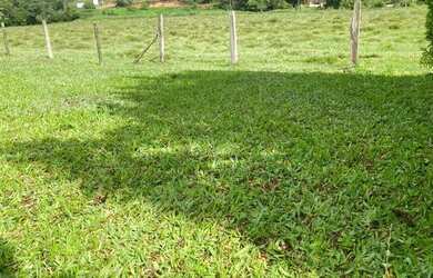 Imagem 4: VC- VENDO TERRENO PARA VERANEIO