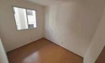 Imagem 4: Araçatuba - Apartamento - Jardim Paulista