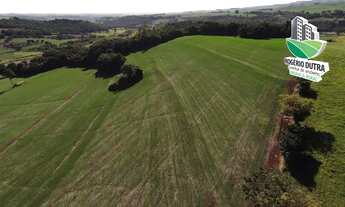 Imagem 7: 8,5 Alqueires a venda em Cornélio Procópio- BR-369