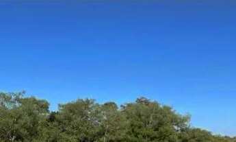 Imagem: Fazenda 2.385 alqueires em Mirassol doeste