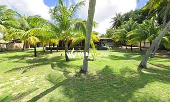 Imagem 5: Oportunidade Única para Investidores Terreno Beira-Mar em Japaratinga/AL