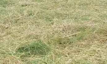 Imagem: Terreno de esquina!!