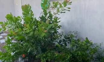 Imagem 3: Imóvel para venda possui 120 metros quadrados com 2 quartos em Mata do Rolo - Rio Largo