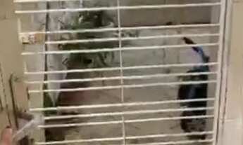 Imagem: Casa para alugar no IPSEP - vila da sudene