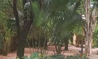 Imagem: VENDO CHÁCARA EM CATANDUVA - SP