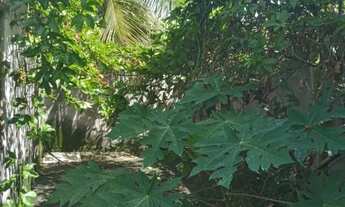 Imagem 4: Vendo - casa Serrinha -ba