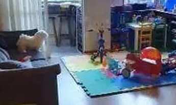 Imagem 6: C-AP4349 Boa Vista Excelente Apartamento 2 Quartos (suíte), 1 Vaga