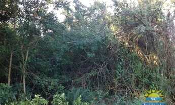 Imagem 3: Terreno amplo Terreno / lote com venda por R$1.000.000