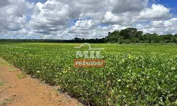 Imagem 4: Fazenda 125 alqueires (605 Hectares) Piranhas - GO