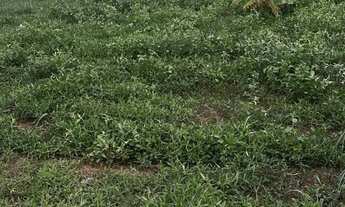 Imagem 3: Vendo terreno top no taquari rua asfaltada na t13