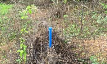 Imagem 4: Chacreamento Recanto dos Sonhos