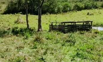 Imagem: Vendo chácara com casa, pomar e energia