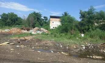 Imagem 7: Excelente área plana com 3.048m²