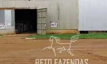 Imagem 2: Imóvel para venda possui 244330000 metros quadrados em Alto da Colina - Nova Mutum - MT