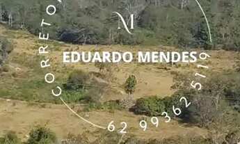 Imagem 2: Ótima área c/ 37.000 m² p/ loteamento de chácaras, 700 metros da GO 225, Corumbá de Goiás