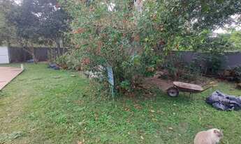 Imagem 3: Casa para locacao