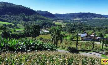 Imagem 5: Sítio / Chácara para Venda em Nova Petrópolis, Nove Colonias