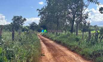 Imagem 6: FAZENDA À VENDA - 444 HECTARES - MORRO DA GARÇA (MG