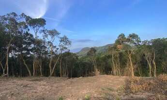 Imagem 6: Terreno perto do asfalto