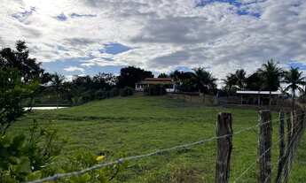 Imagem 3: Vendo sítio chácara em Unia dos Palmares